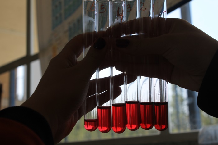 Colegio Amancay Limache