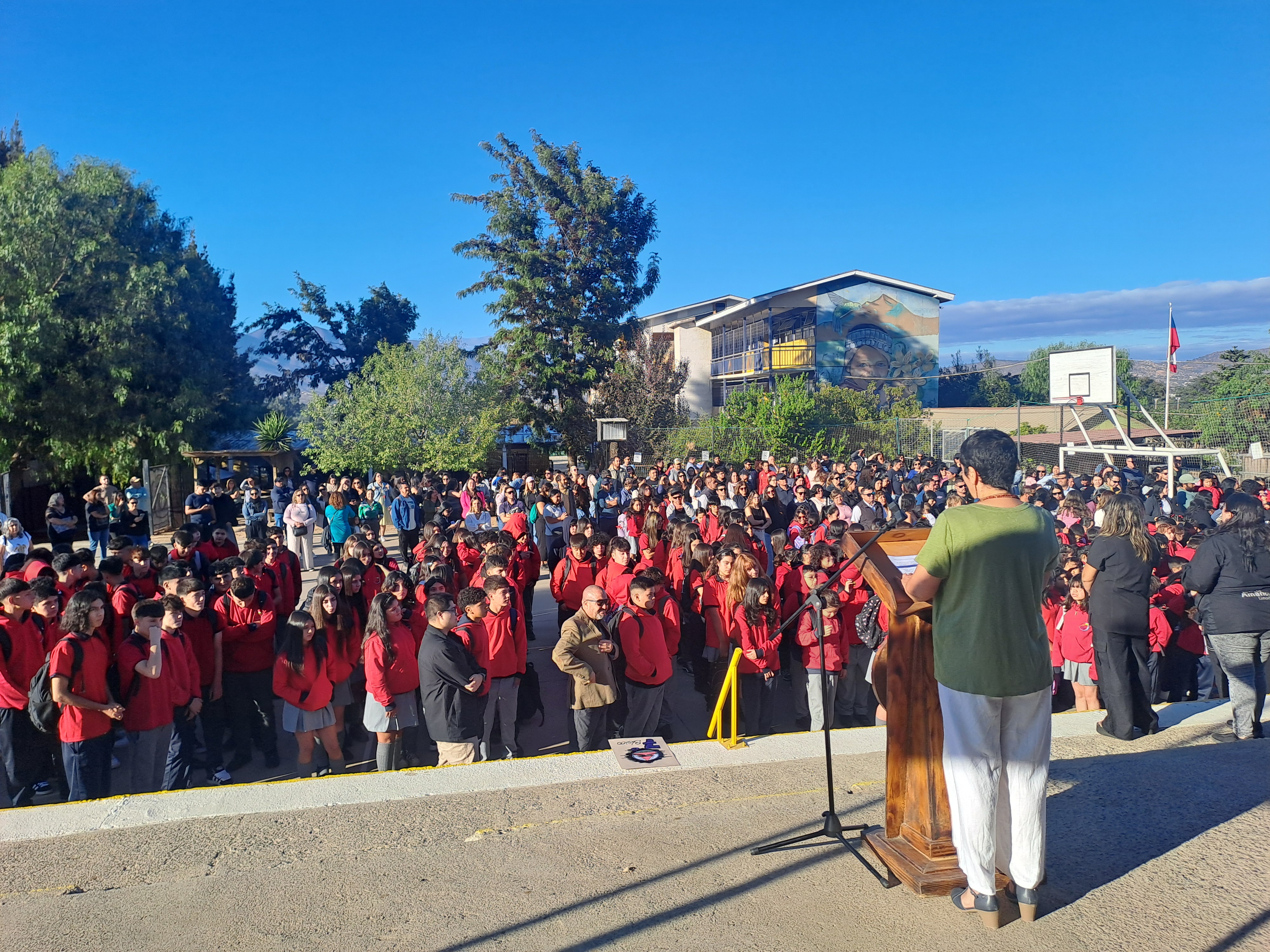 Colegio Amancay Limache